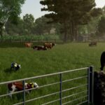 Cow Breeds2