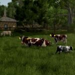 Cow Breeds3