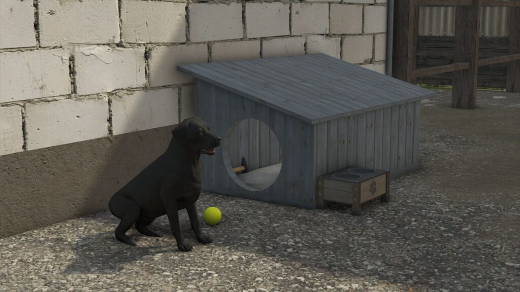 Dog house