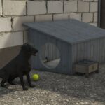 Dog house