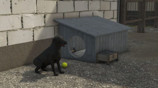 Dog house