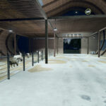 Dutch Sheep Barn4