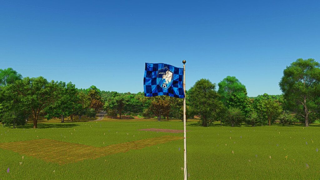 Erzurum Sports Flag
