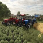 Fiat New Holland 56-66 Series Edit