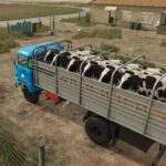 IFA W50 Animal Transport