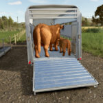 Ifor Williams TA510T4