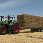 Lizard 100D162