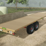 Lizard 100D164