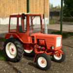 Lizard T-255