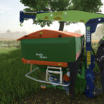 Lizard T4663