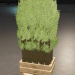 Pallet With Tree Seedlings