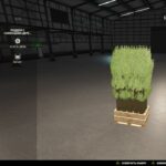 Pallet With Tree Seedlings2