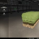 Pallet With Tree Seedlings3