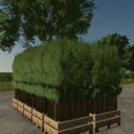 Pallet With Tree Seedlings5