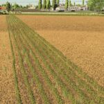 Polesine RCS3