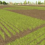 Polesine RCS4