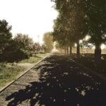 Realistic Shader By Schulzs3