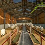 Seasonal Wool Production