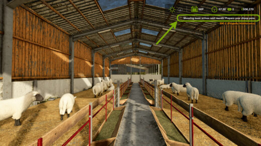 Seasonal Wool Production