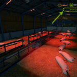 Seasonal Wool Production4