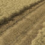 Straw Chopper Mod4