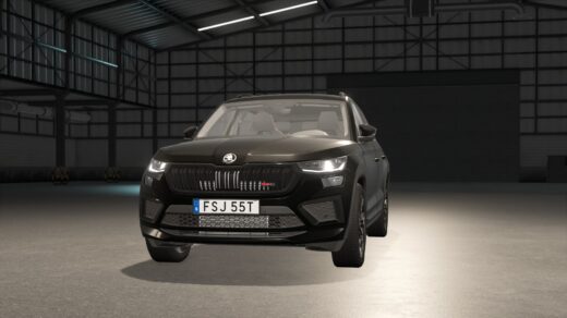 Swedish License Plates