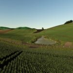 Tararua Pastures2