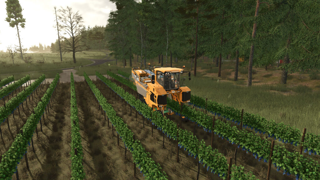TerraFusion And Grape Olives Vines2