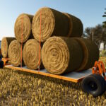 Transport Trailer3