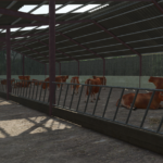 UK 6 BAY BEEF SHED A2