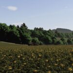 Ultra Realistic Shader5