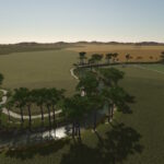 Western Australia3