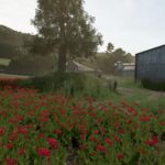 Witcombe Park Farm6