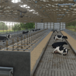 80x190ft Freestall Barn3