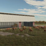 American Cow Stable