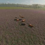 Animal Pests