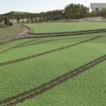 Bio Farming2
