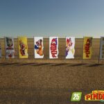 Circus Flags PINDER3