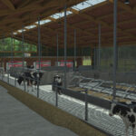 Cowbarn2