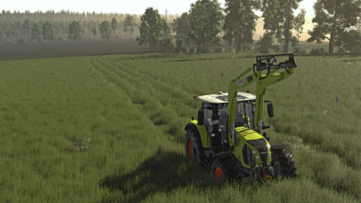 Crop Destruction Outside Fields