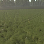 Crop Destruction Outside Fields3