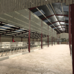 Cubical Dairy Shed6