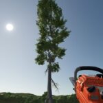 Easy Logging2