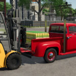 F-100 Pickup 19565