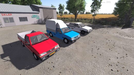 FSO Polonez Cargo