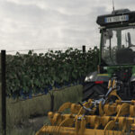Fendt 200 Palatina Vario4