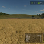 Field Detail Hud Infos