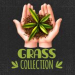Grass Collection