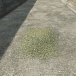 Grass Collection4