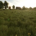 Growing Random Trees